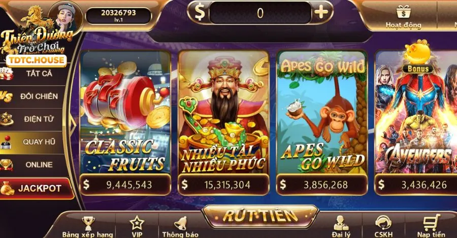 Trải nghiệm đầy đủ tính năng cá cược và giải trí tại 77 Ball Đá Gà